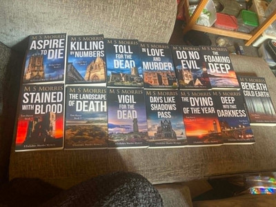 M S Morris Crime Thriller Bundle x13 | Tom Raven & Bridget Hart Series Various