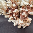 Foto 4 di 15