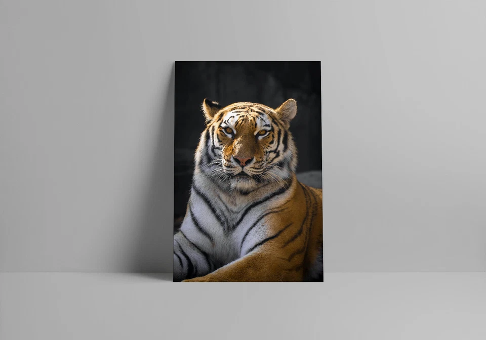 Tigre marrón y negro acostado en el suelo arte decoración de pared - PÓSTER 20x30 Foto 3 de 4
