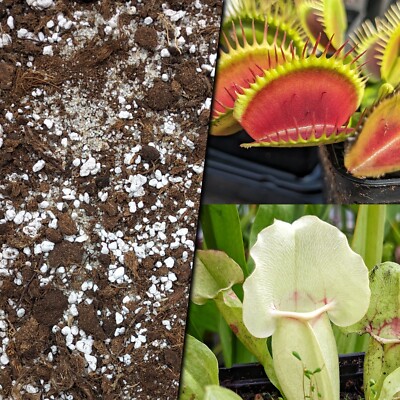 (1,59 /l) 1 Liter Karnivorenerde Venusfliegenfalle Sarracenia Queensland Torf