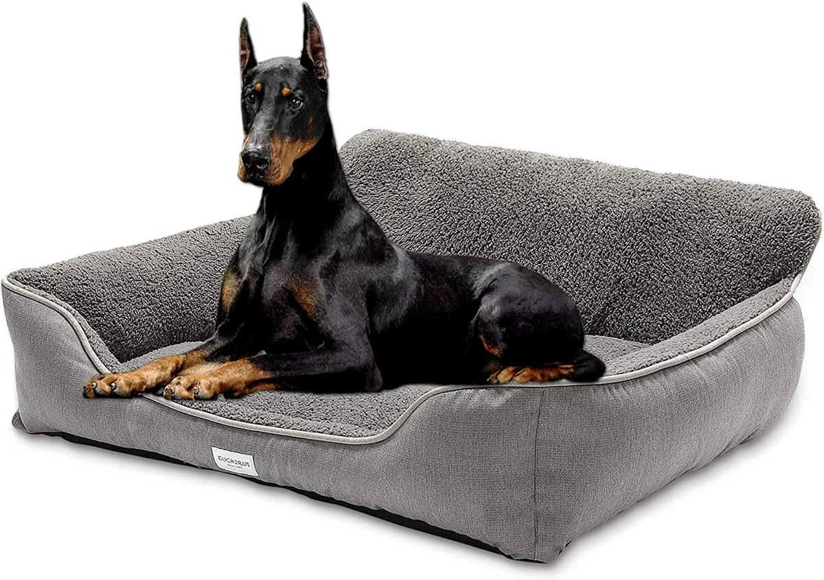 Cama perro hunter new arrivals