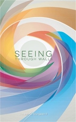 Seeing Through Walls (Hardback or Cased Book)