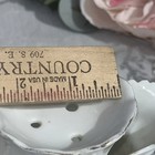 Foto 7 di 7