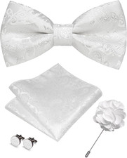 Paisley Pre-tied Bow Tie and Pocket Square Cufflinks Lapel Pin Sets for Men 4PCS