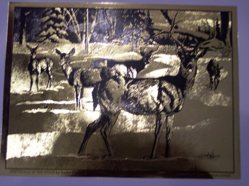 Whitetails in the Snow & Field Champion di Taylor Oughton, Gold Foil-Etch - Foto 3 di 8
