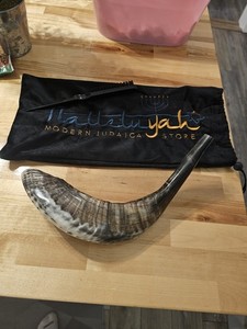 Shofar from Israel 11"-14" KOSHER ODORLESS Ram Horn Shofar | Smooth Mouthpiece 