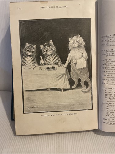 Strand Magazin 8 Bände 1892 - 1894 -1897 Conan Doyle Victorian HB Buch - Bild 4 von 16