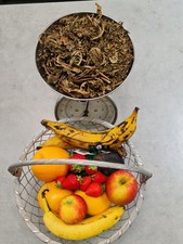 Dried Jamaican Oilnut Leaves / Castor Bean Plant Organic Wildsourced