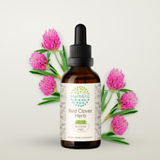 HerbEra Red Clover Herb Alcohol-FREE Tincture, Organic (Trifolium Pratense)