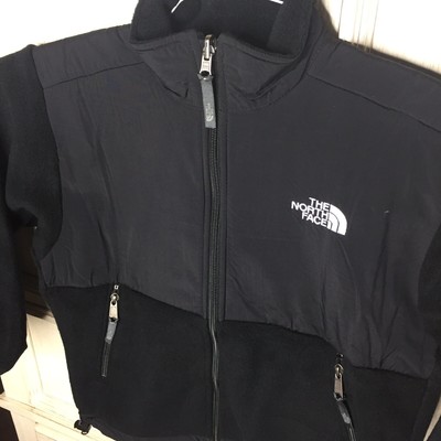 chihuahua fawn color