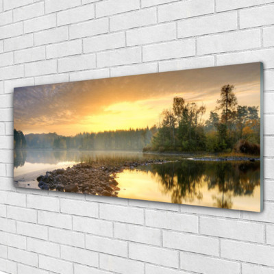Acrylglasbilder Wandbilder aus Plexiglas  125x50 See Steine Wald Landschaft