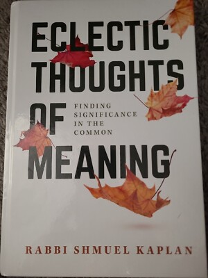 Eclectic Thoughts of Meaning: Finding Meaning in the Common Rabbi Shmuel Kaplan