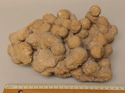 Versteinerte Kugeln Sandcalcit Calcit Formation groß schwer 2,8 kg