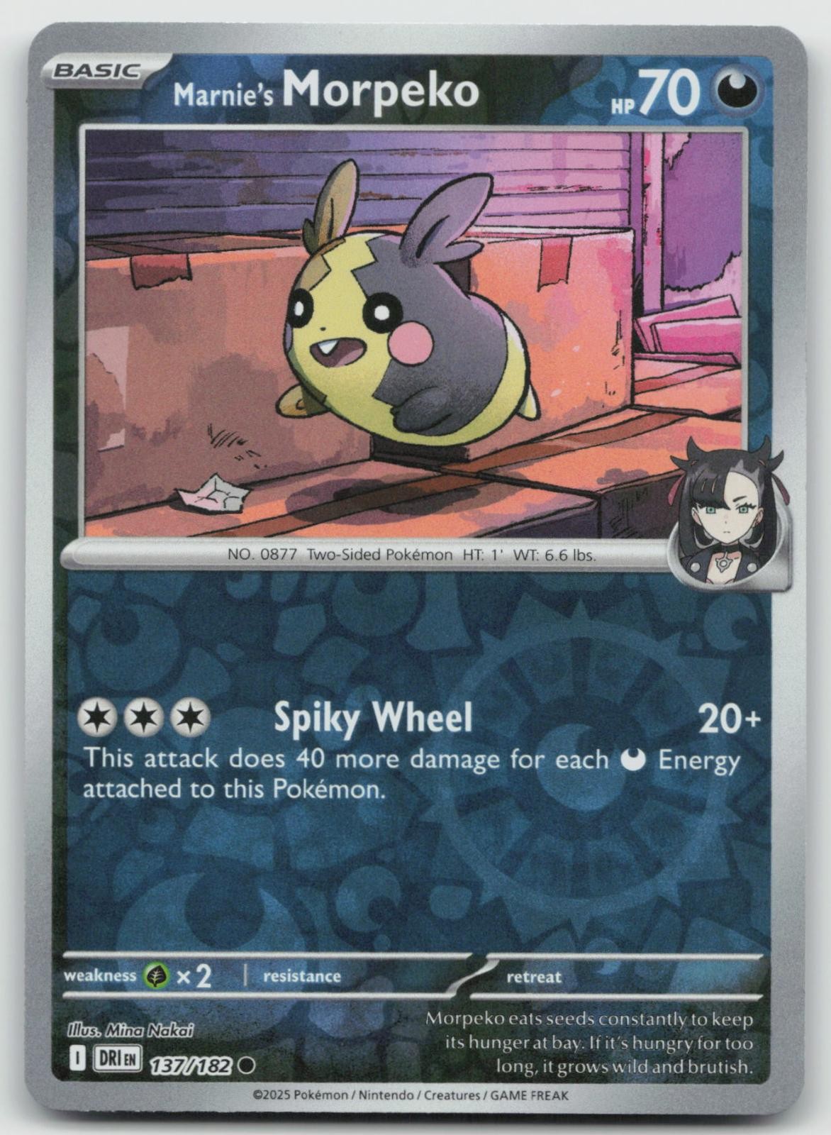 Marnie's Morpeko 137 Destined Rivals Pokemon Reverse Holo 🔥B2G1 Coupon🔥 NM