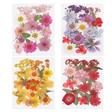 80 Pcs Dried Pressed Flower Leaves Bulk for Resin, Pink Purple Red Yellow