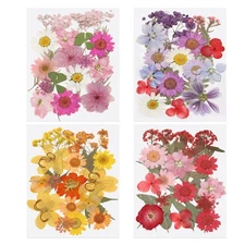 80 Pcs Dried Pressed Flower Leaves Bulk for Resin, Pink Purple Red Yellow