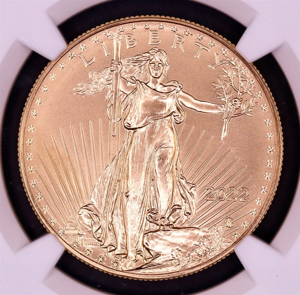 2022 $50 1 oz American Gold Eagle NGC MS70 First Day of Issue | eBay