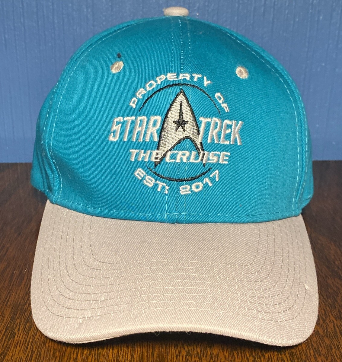 STAR TREK The Cruise Sovenir Snapback Hat Teal Blue Gray Baseball Cap  (READ)