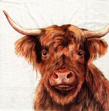 Full package of 20 Paper Lunch/Party Napkins - Farm Highland Cattle cow
