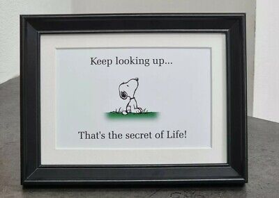 Keep Loking Up That S The Secret Of Life Framed Snoopy Ebay