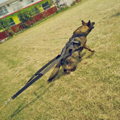 Weight Pulling Sledding Harness for Large Dogs X Back Training Pitbull Mastiff - Picture 11 of 12