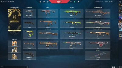 Valorant Account EU Level:142, Rank: Gold 3 or Platin 1,  Full Access