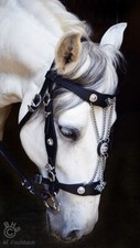 NWT Baroque / Medieval, Ornate Horse Bridle + Reins, top quality. Black/Silver