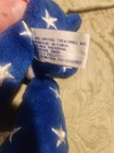Vintage Limited Treasures 1999 Liberty Treasure Bear 8" Plush — photo 6