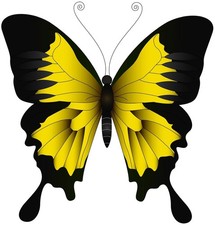 Yellow Swallowtail Butterfly Wall Art Mural 18x18 Removable Vinyl Home Decor
