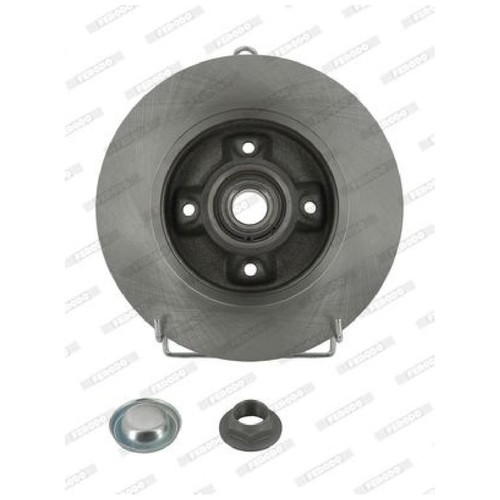FERODO Disco Freno DDF1725-1 Posteriore Per Renault Laguna III (2007-2015) - 2