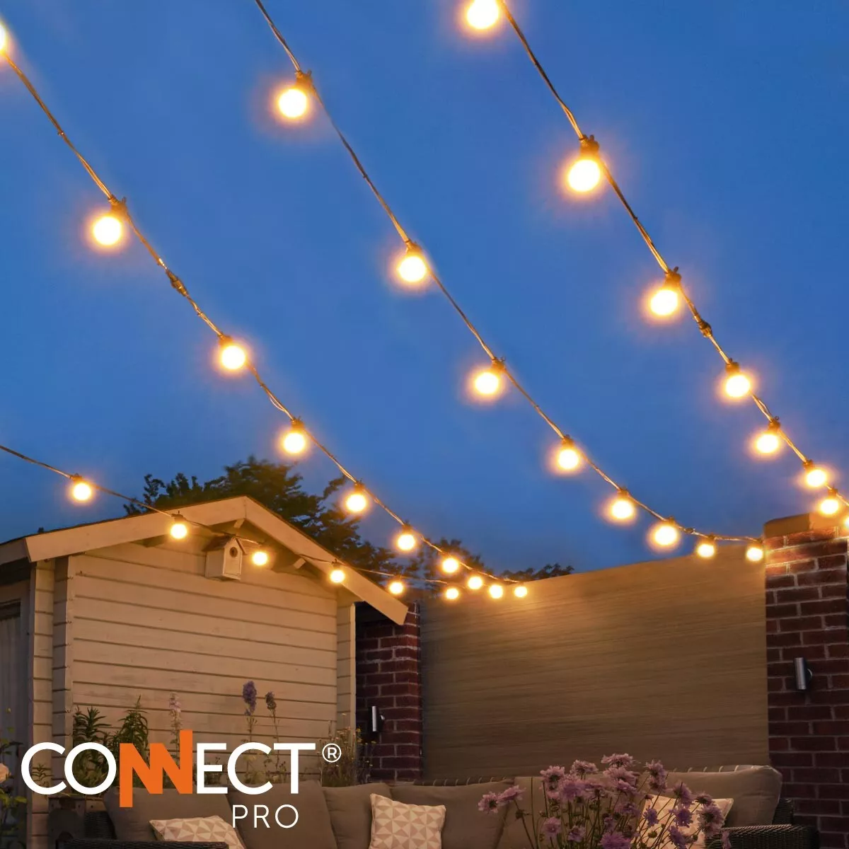 Festoon warm white lights deals