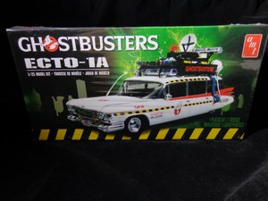 amt ecto 1