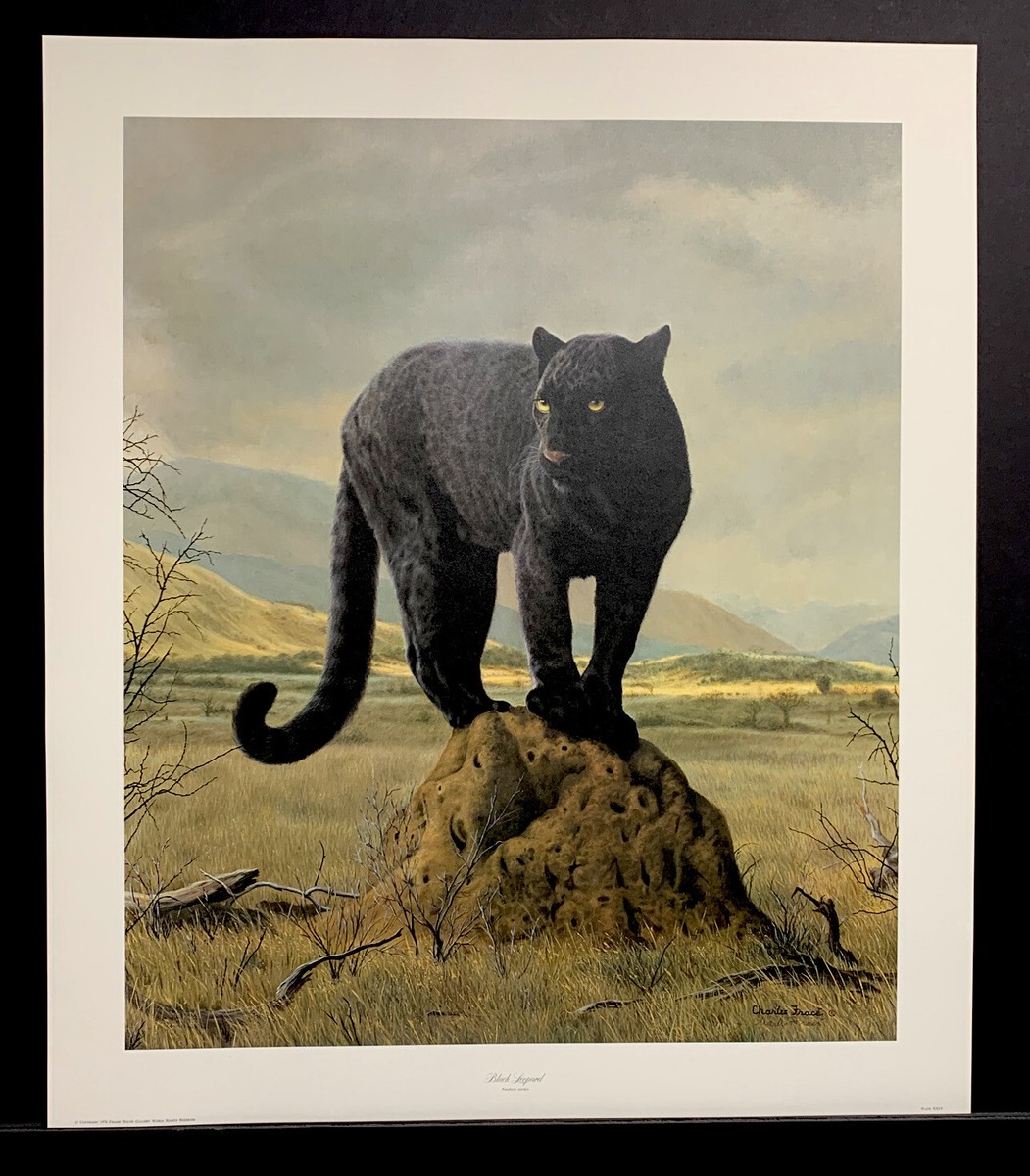 公式 ストアホビー・楽器・アート - チャールズリンブラッグ