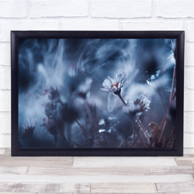Blumen Garten Bokeh Makro Gänseblümchen Wandkunstdruck