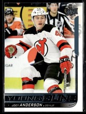 2018-19 Upper Deck Young Guns Joey Anderson Rookie #473