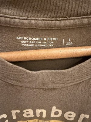Abercrombie & Fitch The Cranberries Men's Brown Vintage Graphic T