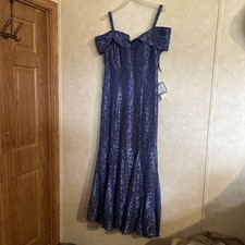 R M Richards Blue Off-the-Shoulder Lace Gown Dress Size 14W Glitter Formal NWT