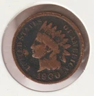 US Rare Old West 1900 Indian Head Penny Coin American Collection Shield Cent USA