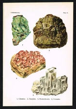 Calamine, Chalybite, Rhodochrosite & Cerussite – 1911 Mineral Plate Print