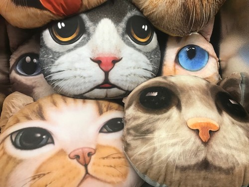 Cute Novelty Cat Dog Realistic Funny Decorative Polyester Squishy Throw Pillow - Picture 4 of 35