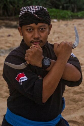 Learn Weapons: Wirayudha Pencak Silat Martial Arts Online Training: 230+ Videos! - Bild 1 von 11