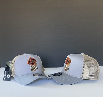 California cap witer Grey 