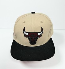 Chicago Bulls NBA Basketball Mitchell Ness 40th Anniversary Snapback Hat