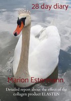 Marion Estermann | 28 Day Diary | Taschenbuch | Englisch (2022)