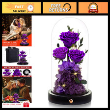 Forever Preserved Roses in Glass Dome - Valentine's Day Gifts for Her, Anniversa