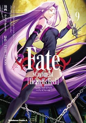 Fate stay night Heaven's Feel　STAFF BOOK Fate/stay night Heaven's Feel Vol. 1-11 Latest Full Set Manga