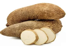 Yam Tubers Ghana yam/ African yam tuber 1 pcs