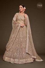 Fancy Choli for Women Style Wedding Wear Bollywood Style Indian Pakistani Choli
