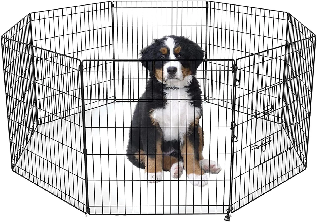 Ebay pet enclosure cheap