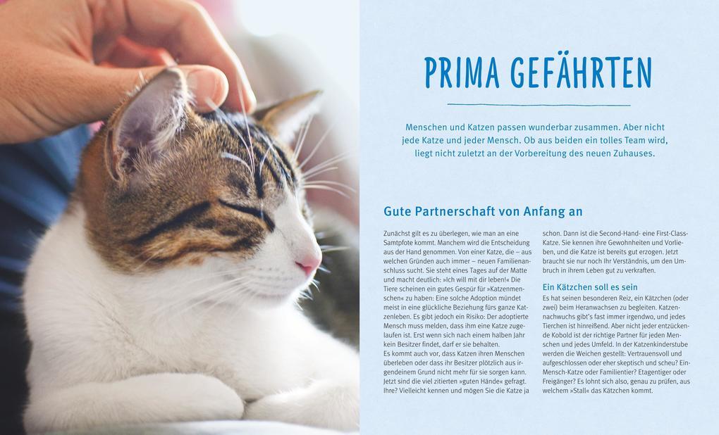 Thumbnail - Katzen | Brigitte Eilert-overbeck | 2016 | Deutsch